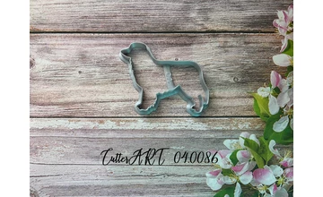 Ausztrál pásztorkutya